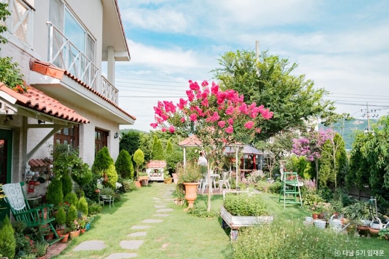 [충남] 카페보니비