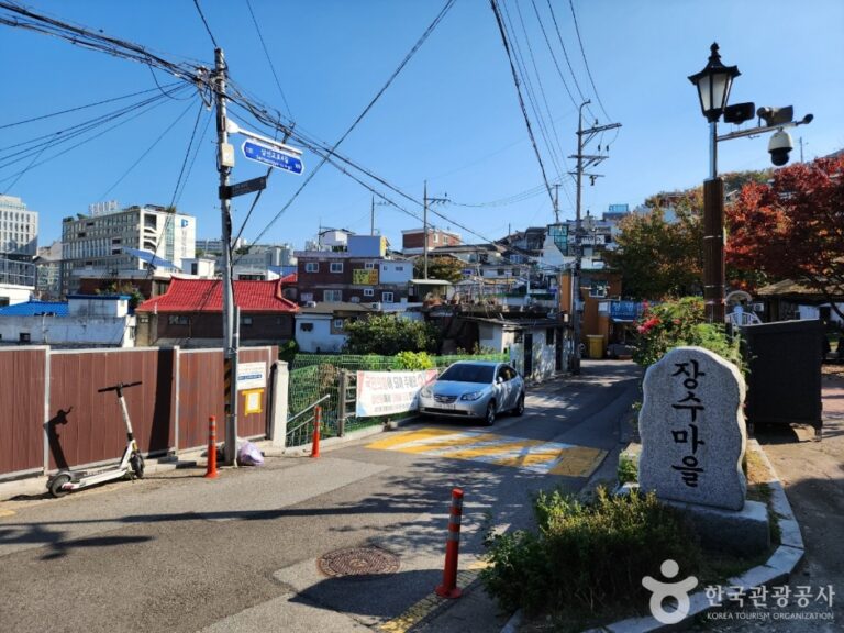 [서울] 장수마을