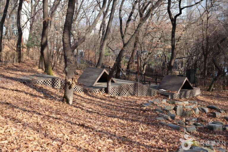 [서울] 오동근린공원 유아숲체험장