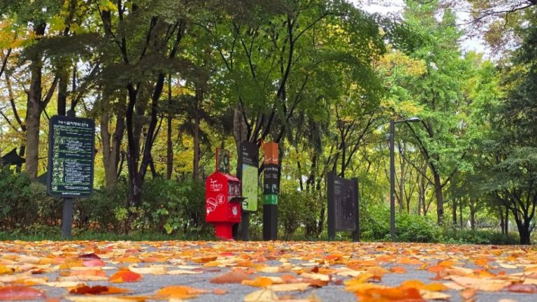 [서울] [서울둘레길 10코스] 우면산코스