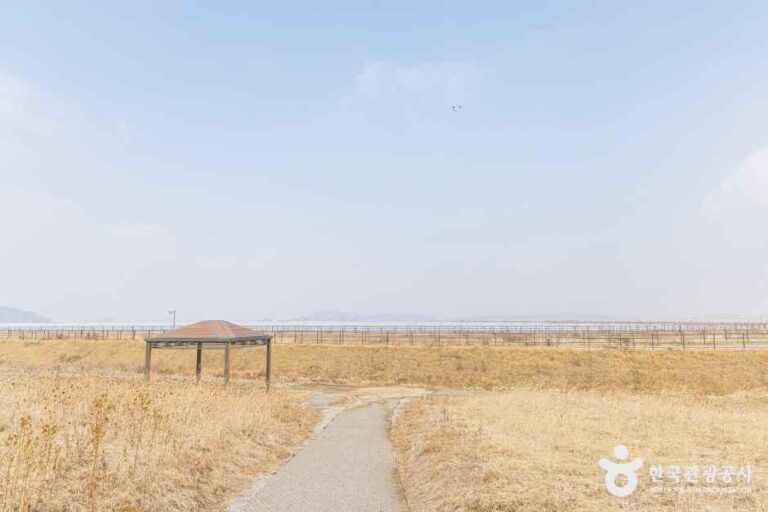 [인천] 난정저수지