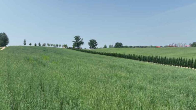 [경기] 안성팜랜드