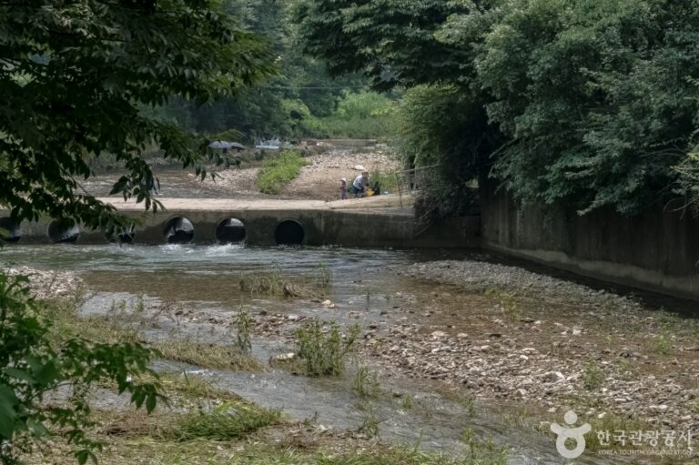 [경기] 묵리계곡