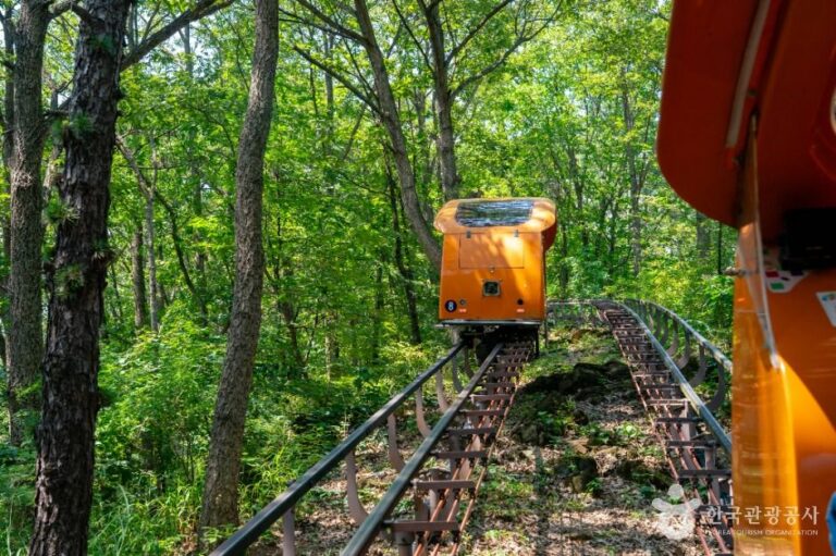 [충북] 청풍호 관광모노레일