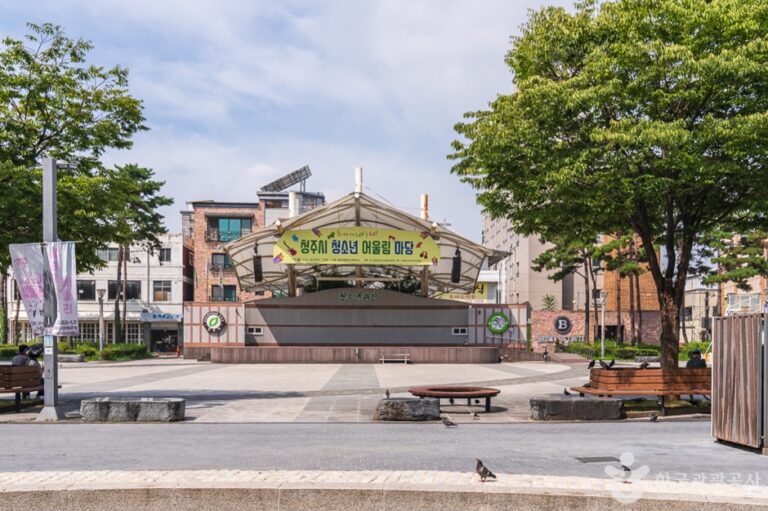 [충북] 청주청소년광장