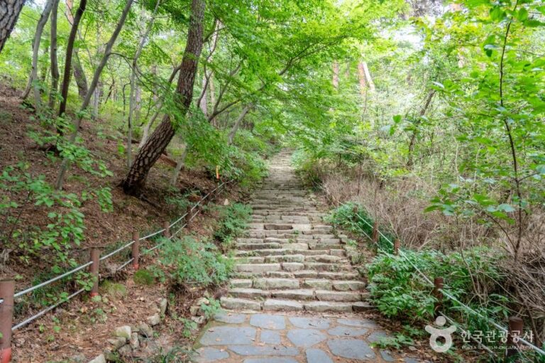 [충남] 개심사 가는 길