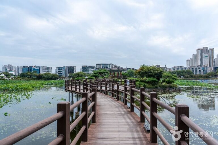 [충남] 중앙호수공원(서산)