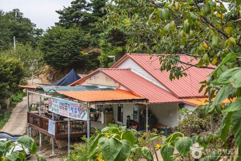 [충남] 말재 농원