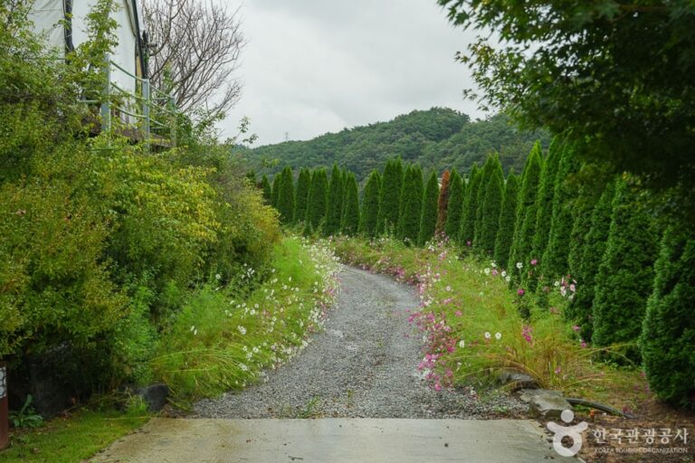 [충남] 다울관광농원