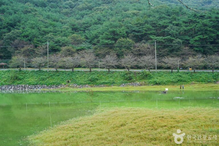 [충남] 고남 저수지