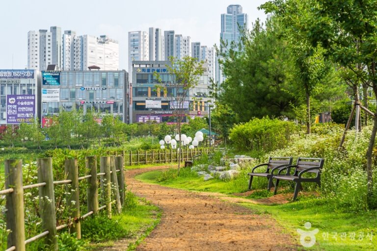 [충남] 물총새공원