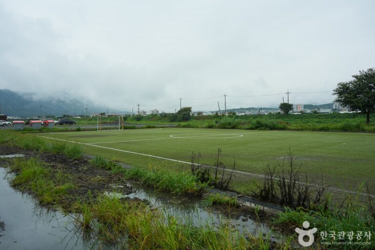 [충남] 웅천체육공원