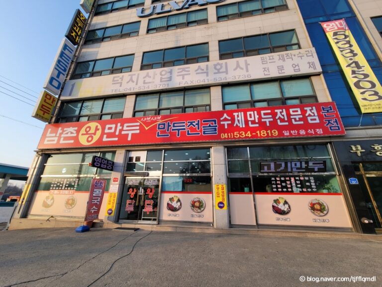 [충남] 남촌왕만두