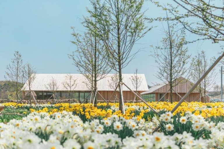 [충남] 백설농부