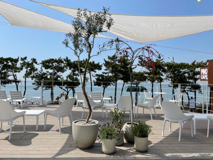 [충남] 피노카페