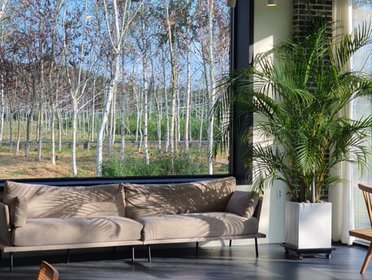 [충남] 코이비꼬