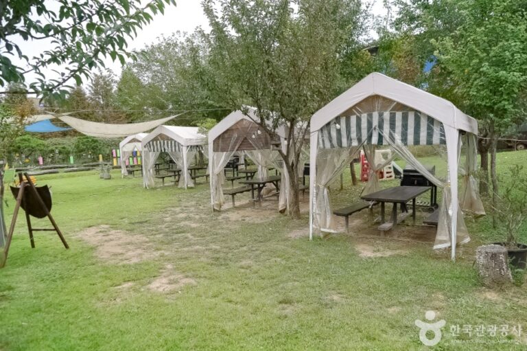 [경기] 놀이정원풀빛