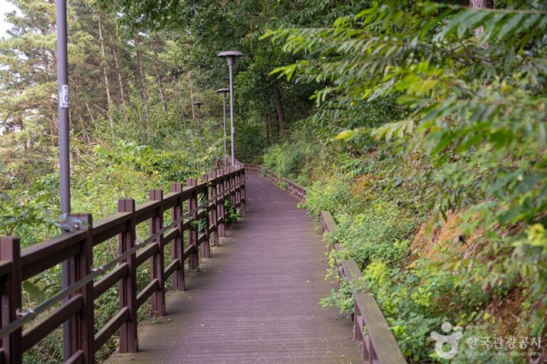 [경기] 헤이리무장애노을숲길