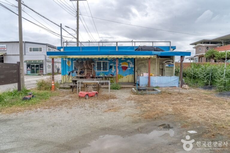 [경기] 소담산딸기