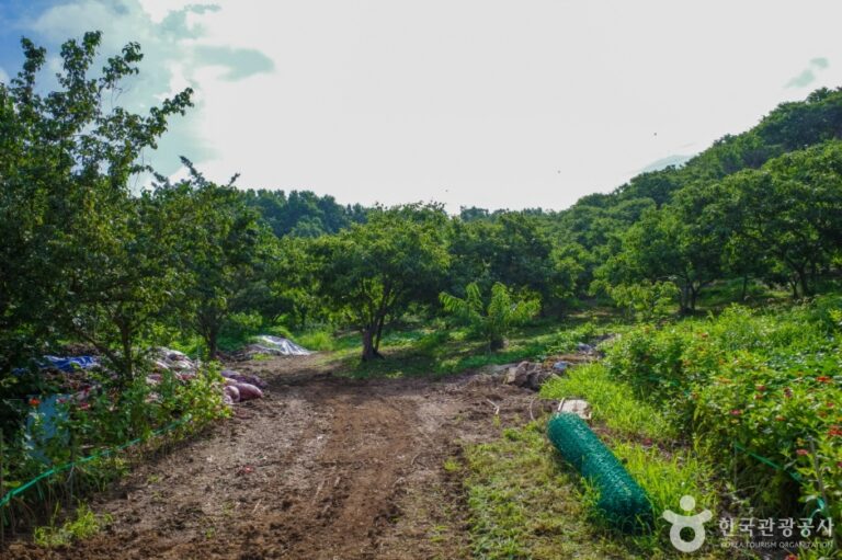 [경기] 계수밤농장