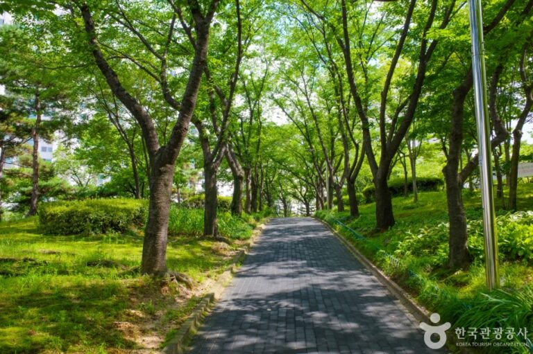 [경기] 은행근린공원