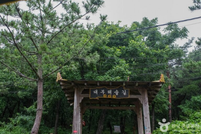 [경기] [대부해솔길] 1코스