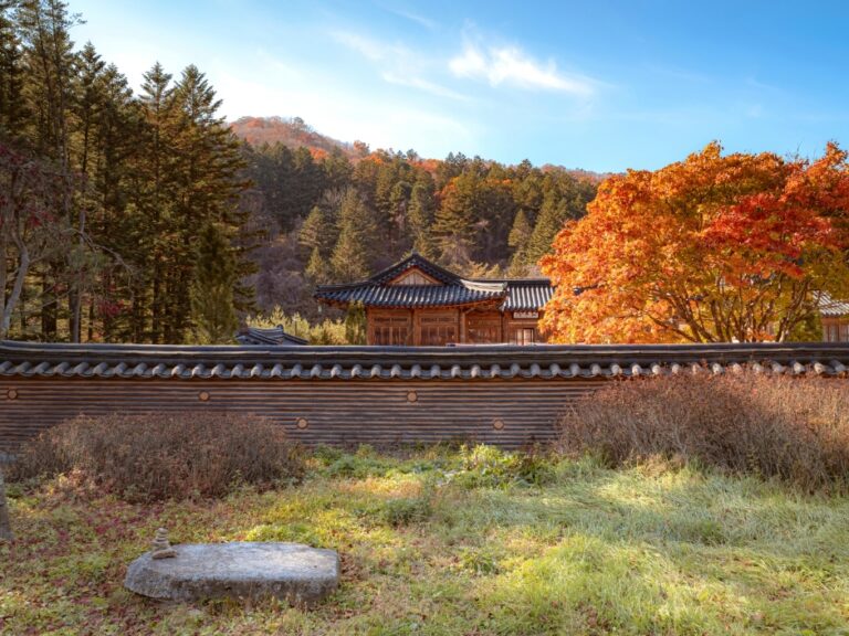 [강원] 월정사·월정사 전나무숲