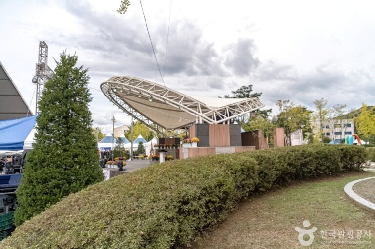 [강원] 도시산림공원토리숲