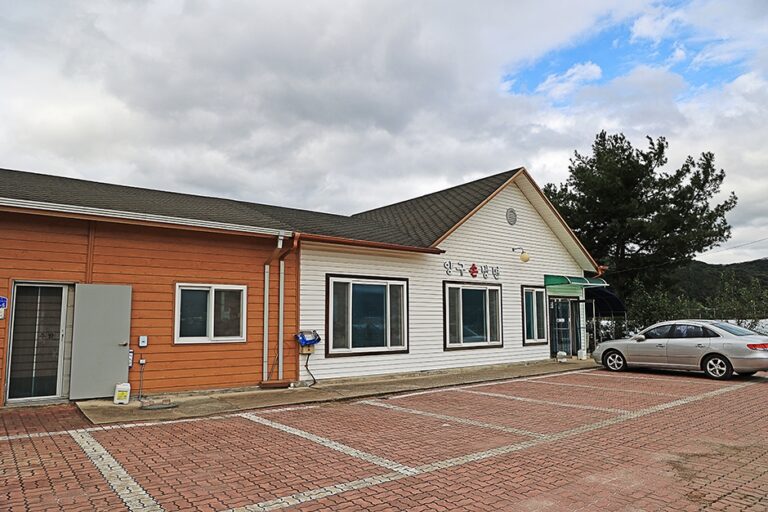 [강원] 양구손냉면