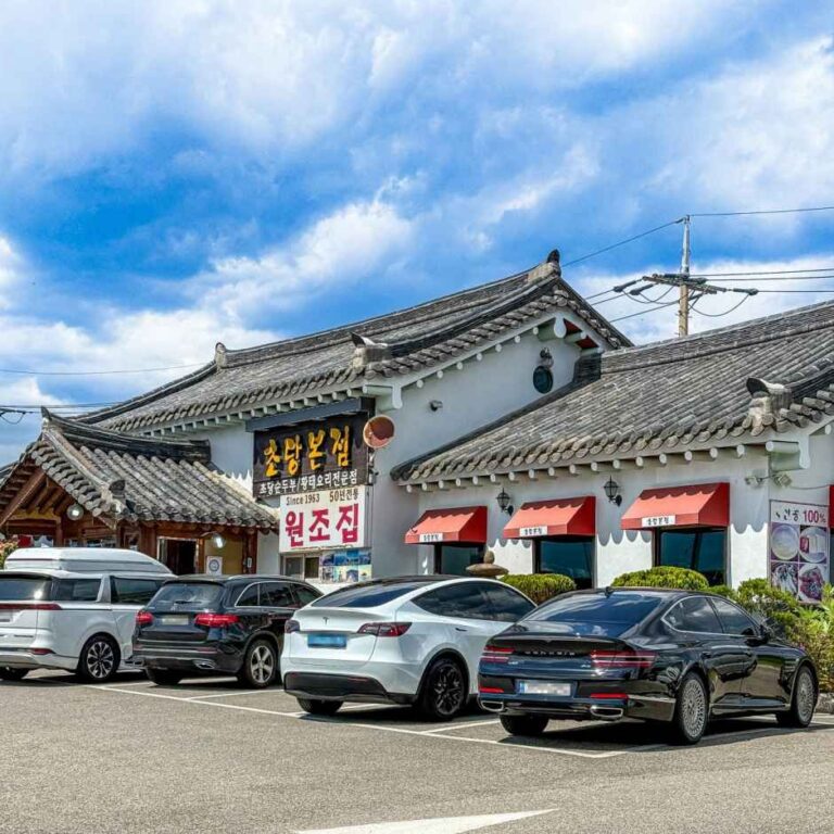 [강원] 초당본점