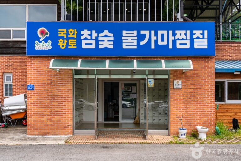 [충북] 국화참숯불가마찜질