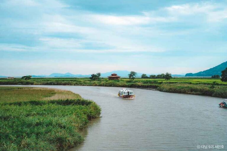 [충북] 순천만탐사선
