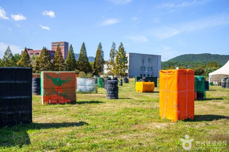 [충남] 레이저 태그 서바이벌