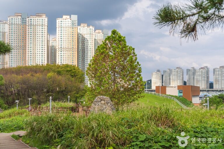 [충남] 지산체육공원