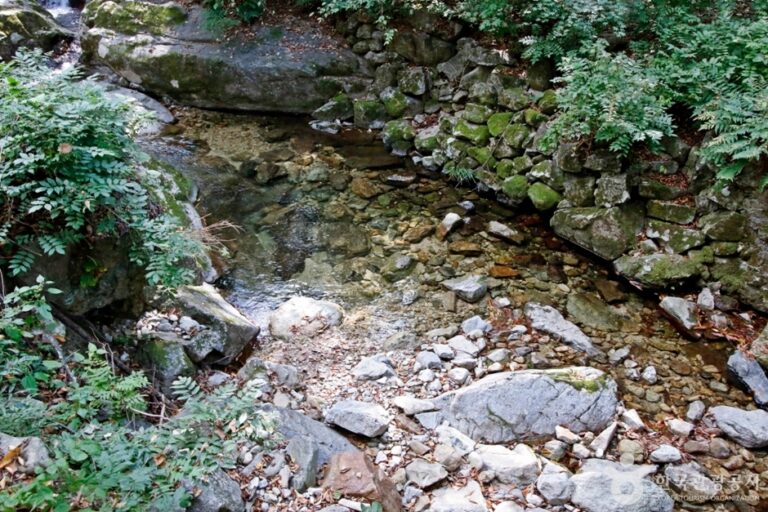 [충남] 갑사계곡