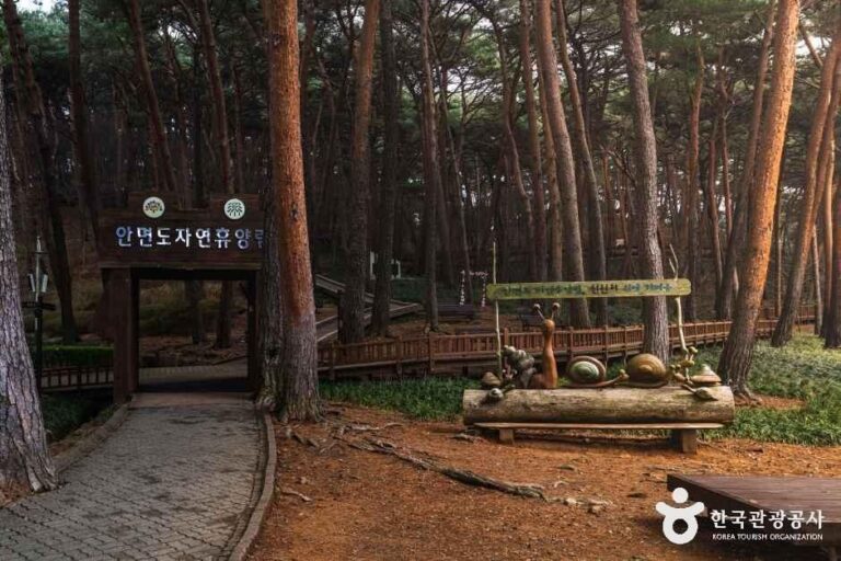 [충남] 안면도자연휴양림