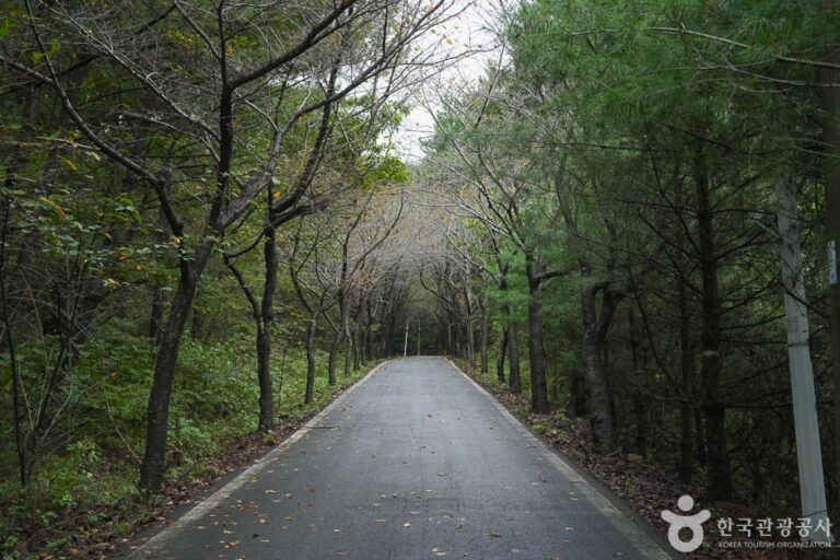[충남] 가제산