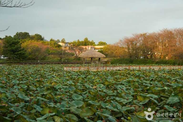 [충남] 골정 저수지