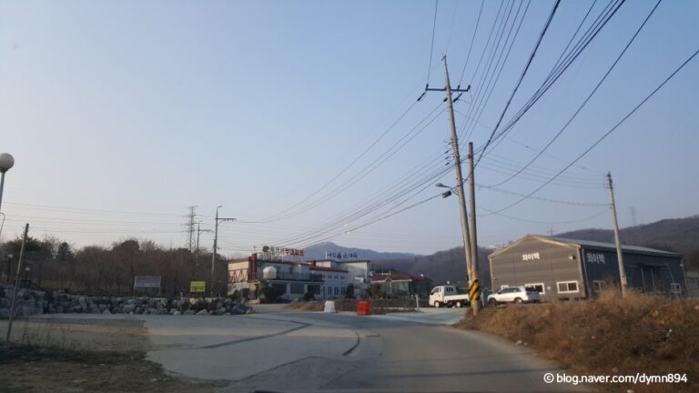 [충남] 싸릿골순대국