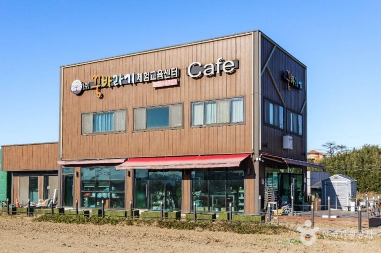 [경북] 꿈바라기