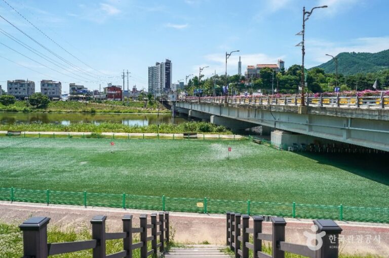 [경북] 한천체육공원