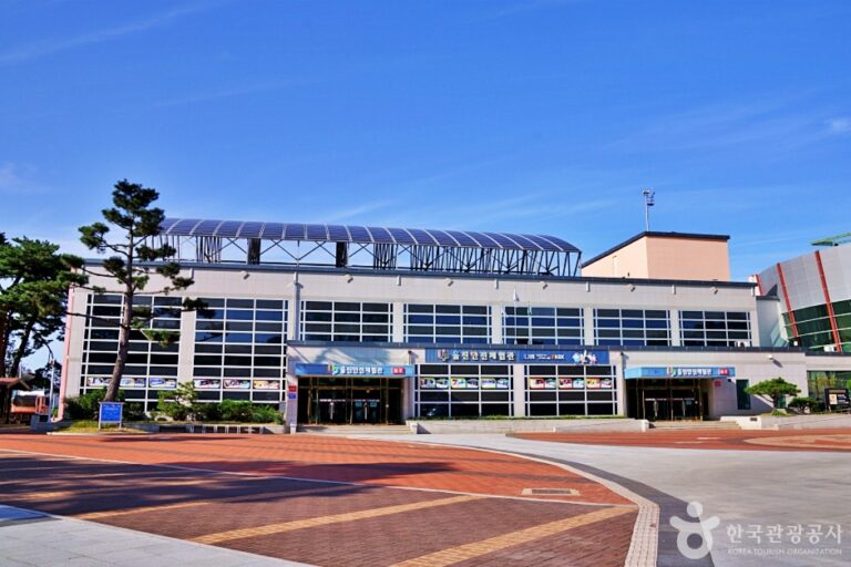 [경북] 울진안전체험관