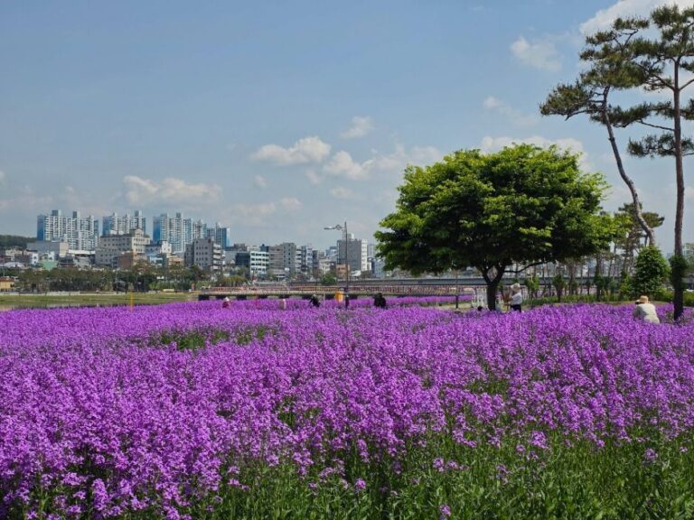 [경북] 영천생태지구공원