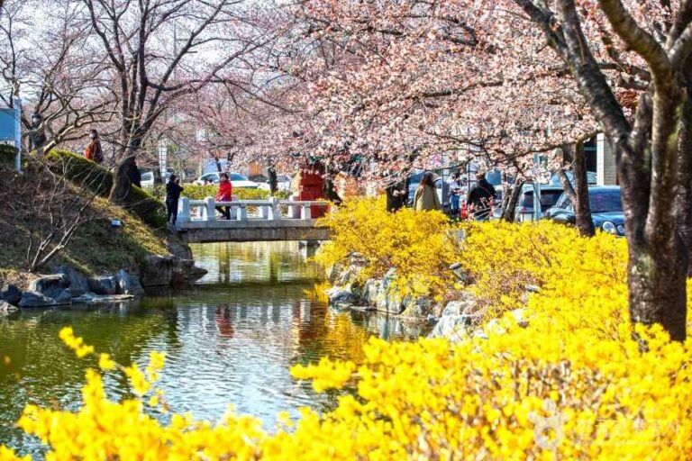 [경북] 교동 연화지