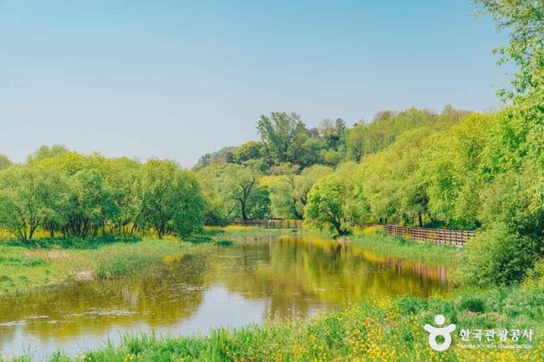[경북] 금장대 수변공원