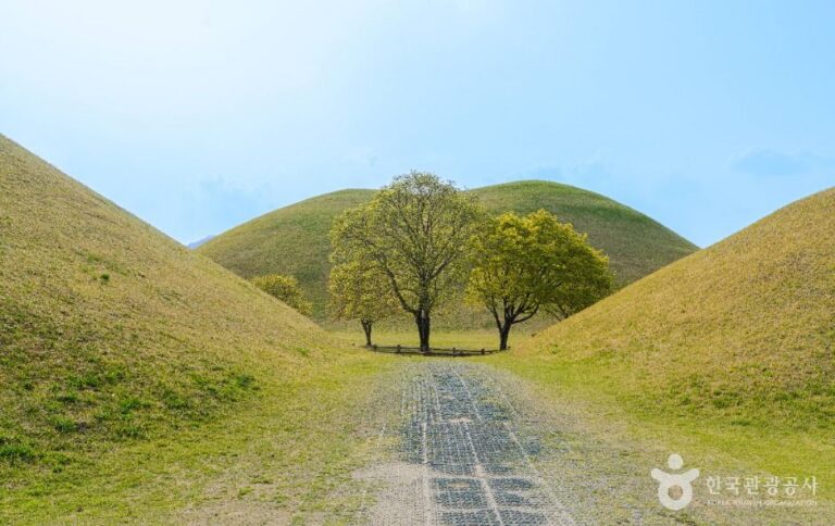 [경북] 경주 대릉원 일원