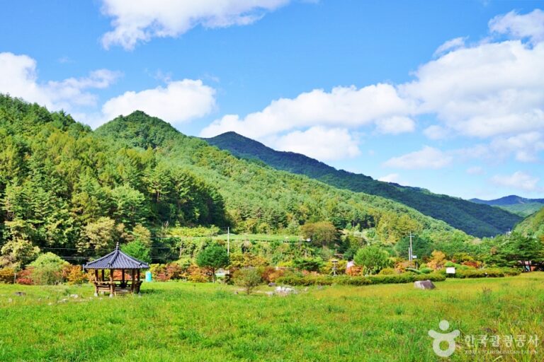 [경북] 일월산 자생화공원