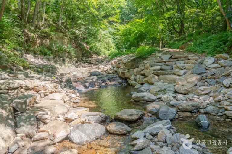 [경북] 김천 물소리 생태숲