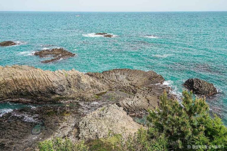 [경북] 경주 양남 주상절리군