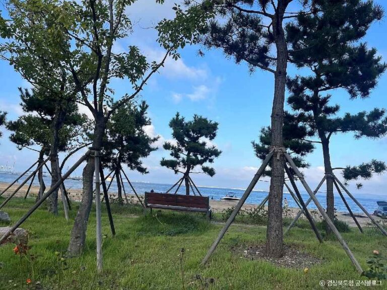 [경북] 죽천해수욕장